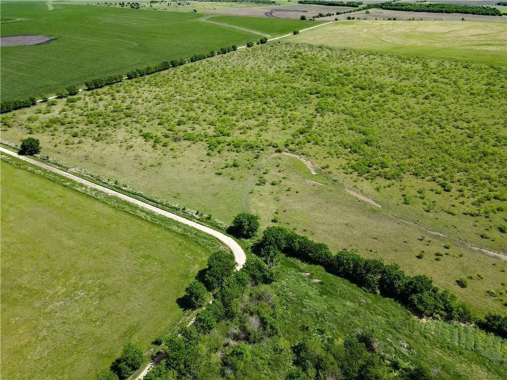 78 acres in Navarro County - photo 11