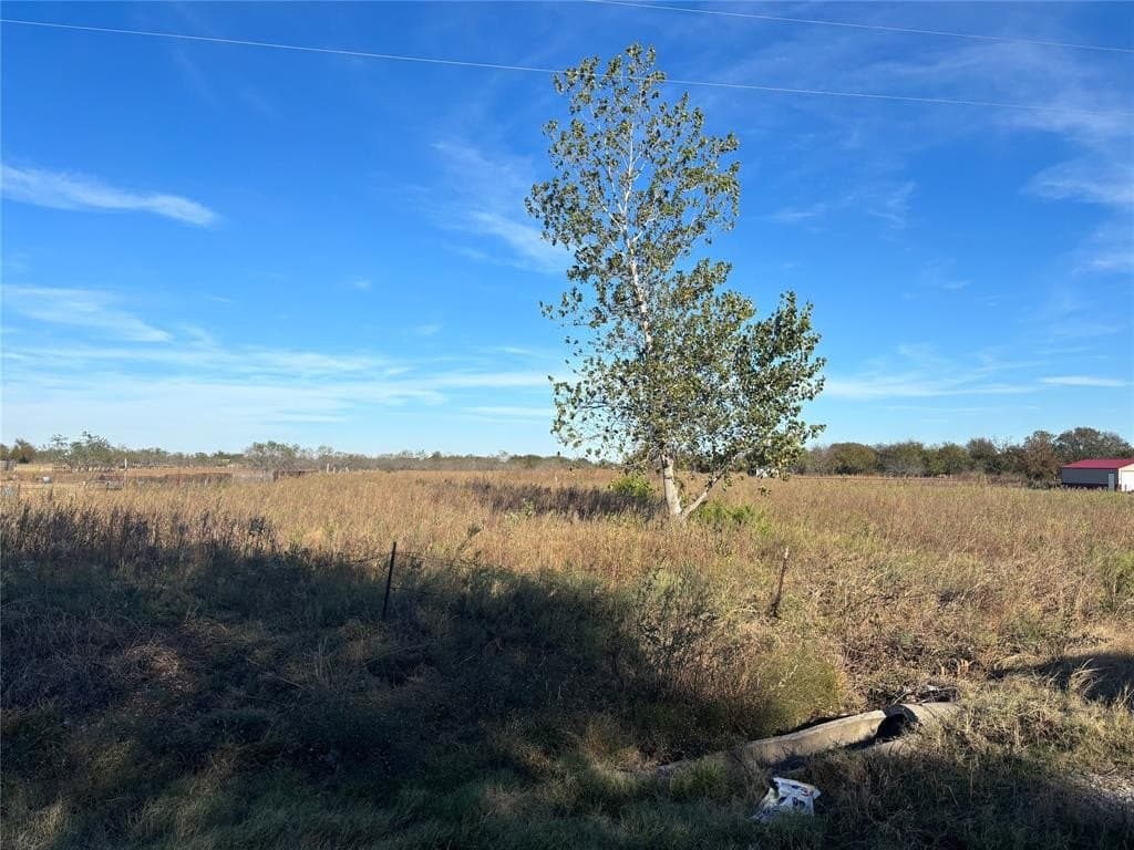 5 acres in Navarro County - photo 4