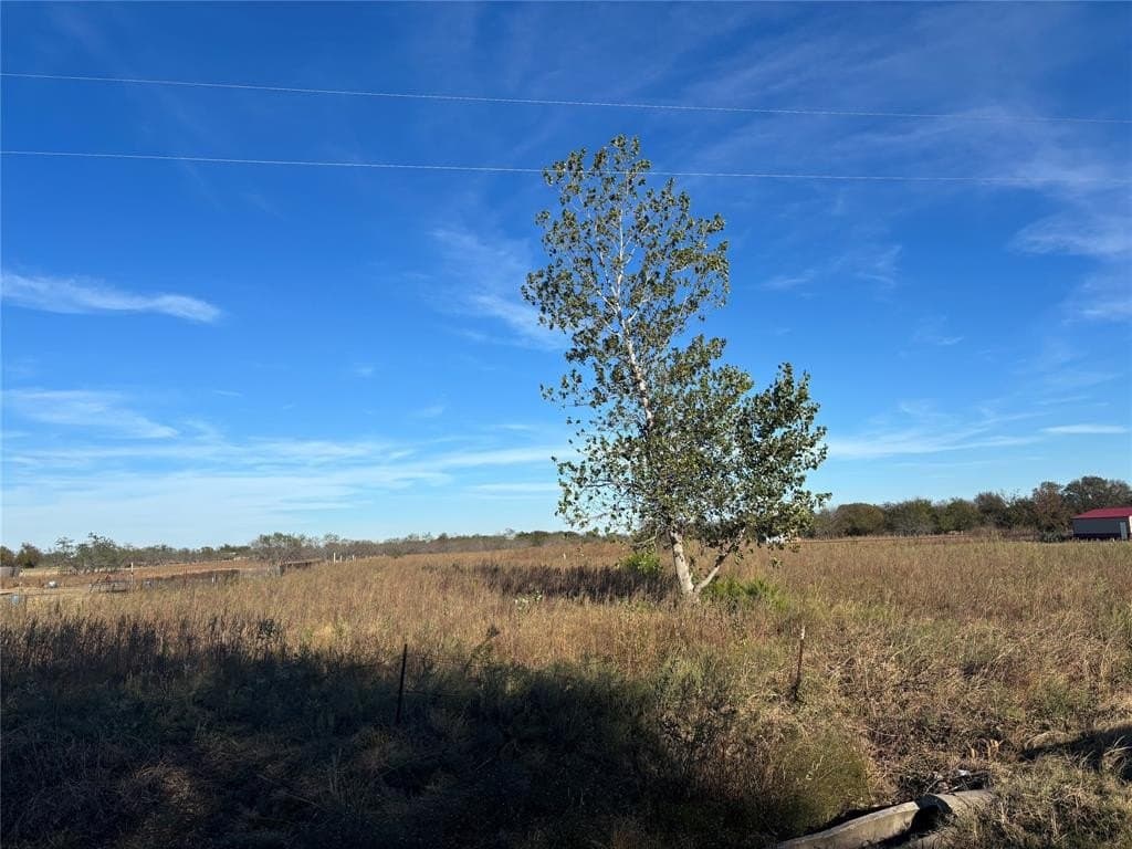 5 acres in Navarro County - photo 3