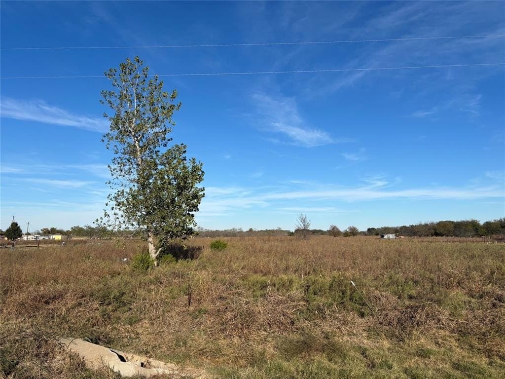 5 acres in Navarro County - photo 5