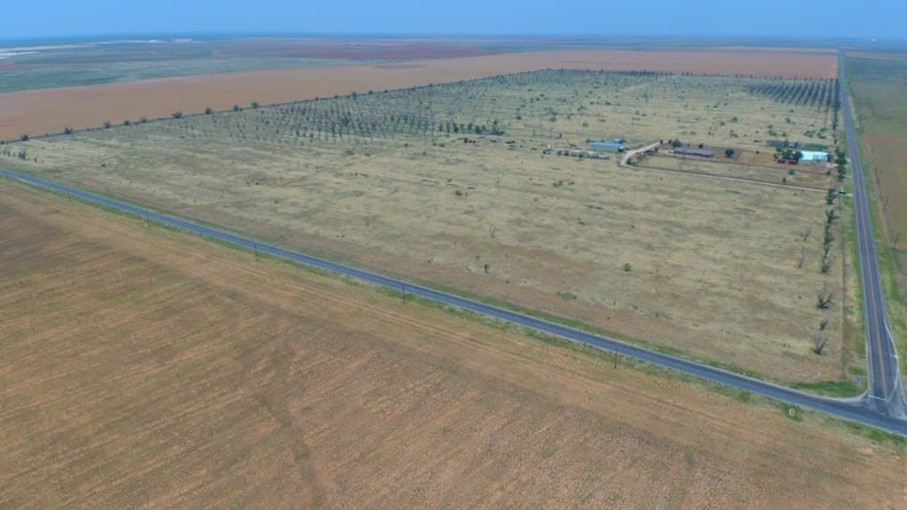 25 acres in Dawson County - photo 4