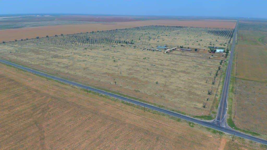 25 acres in Dawson County - photo 3
