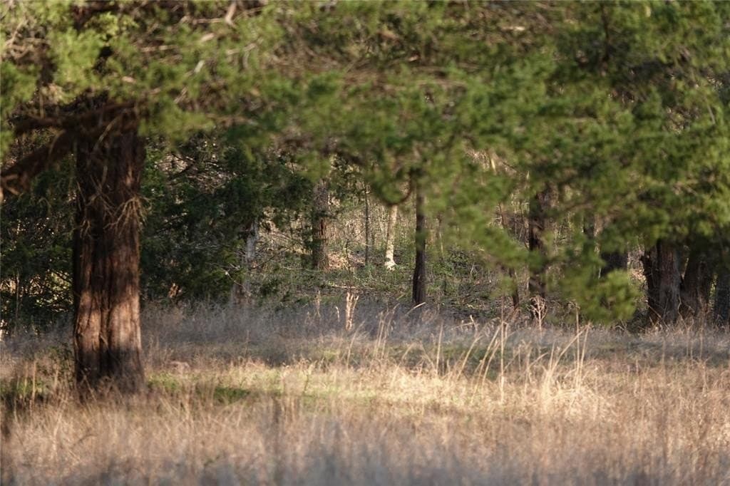 29.72 acres in Fannin County - photo 11