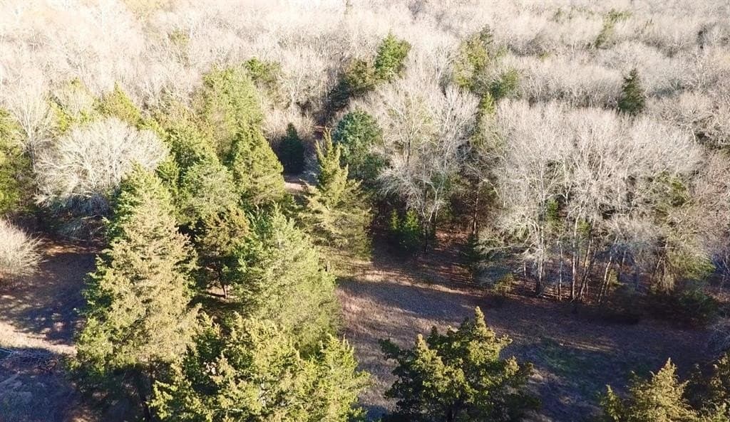 29.72 acres in Fannin County - photo 13