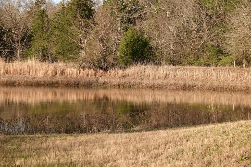 29.72 acres in Fannin County - photo 5