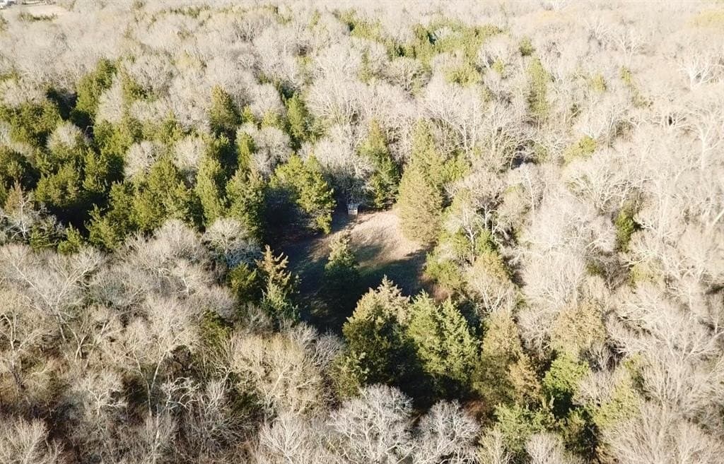 29.72 acres in Fannin County - photo 12