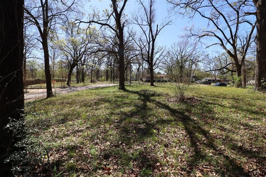 0.16 acres in Henderson County - photo 12