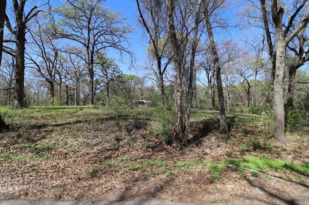0.16 acres in Henderson County - photo 18