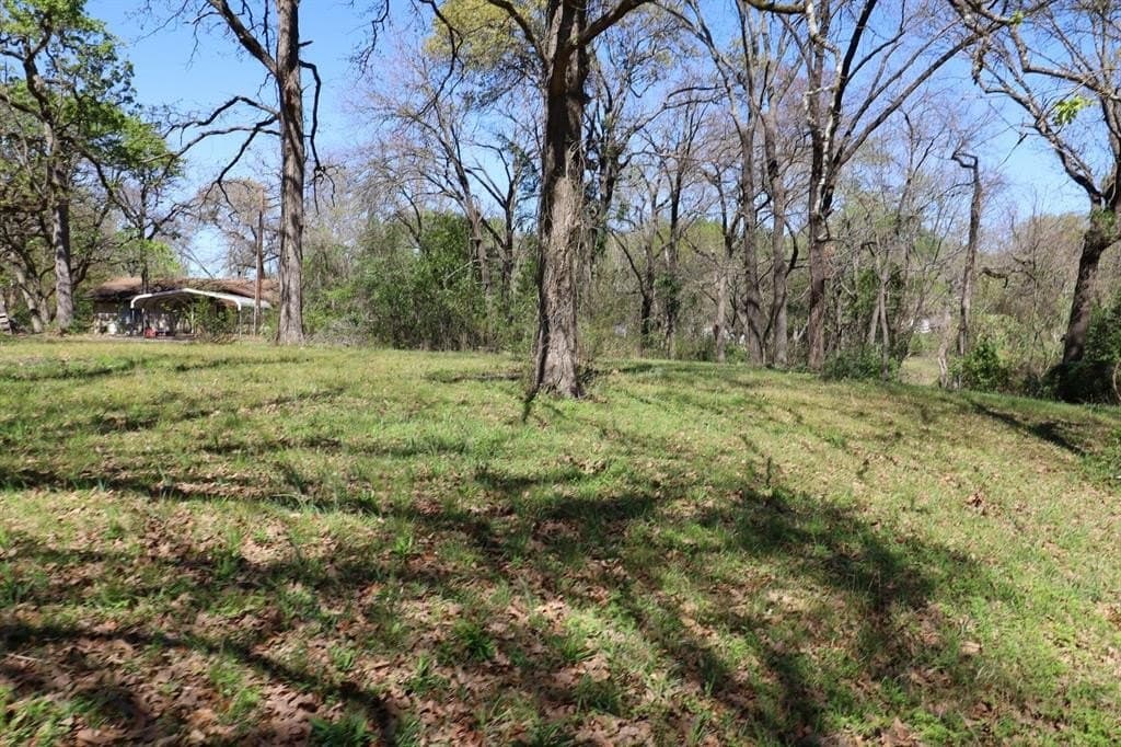0.16 acres in Henderson County - photo 9