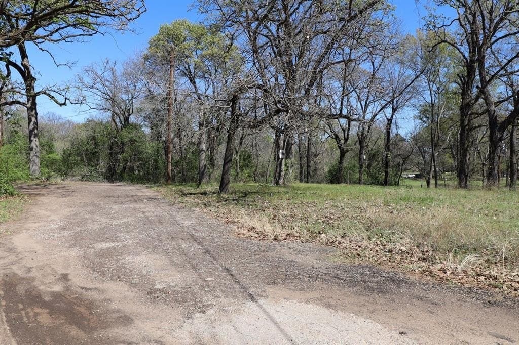 0.16 acres in Henderson County - photo 7