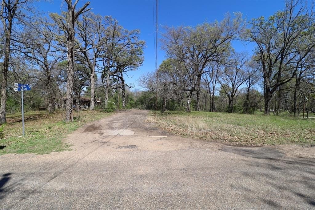 0.16 acres in Henderson County - photo 15