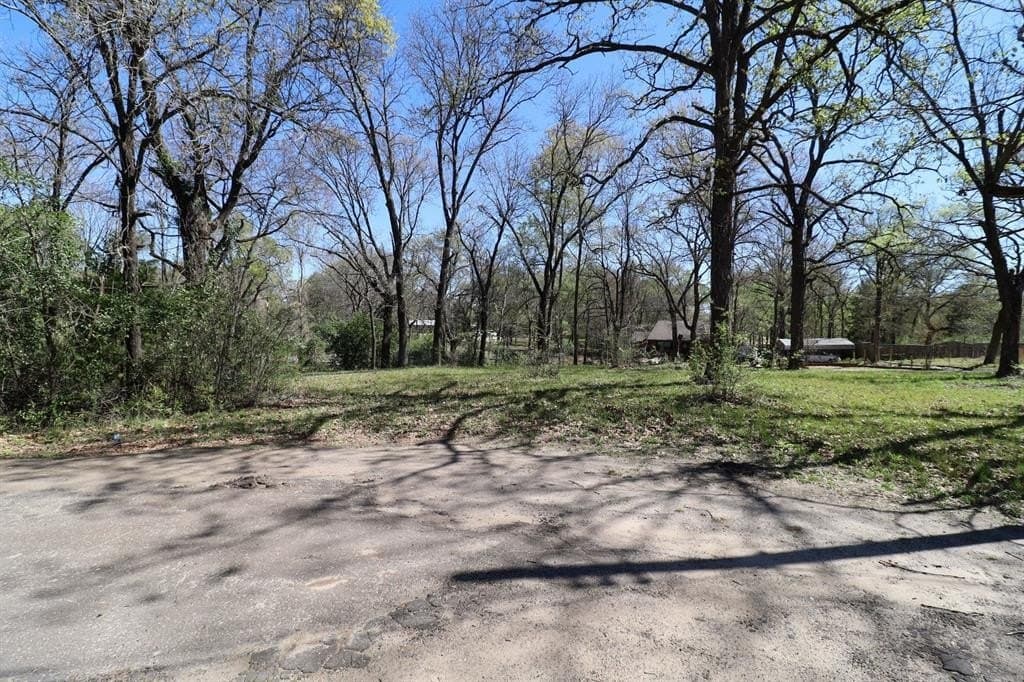 0.16 acres in Henderson County - photo 17