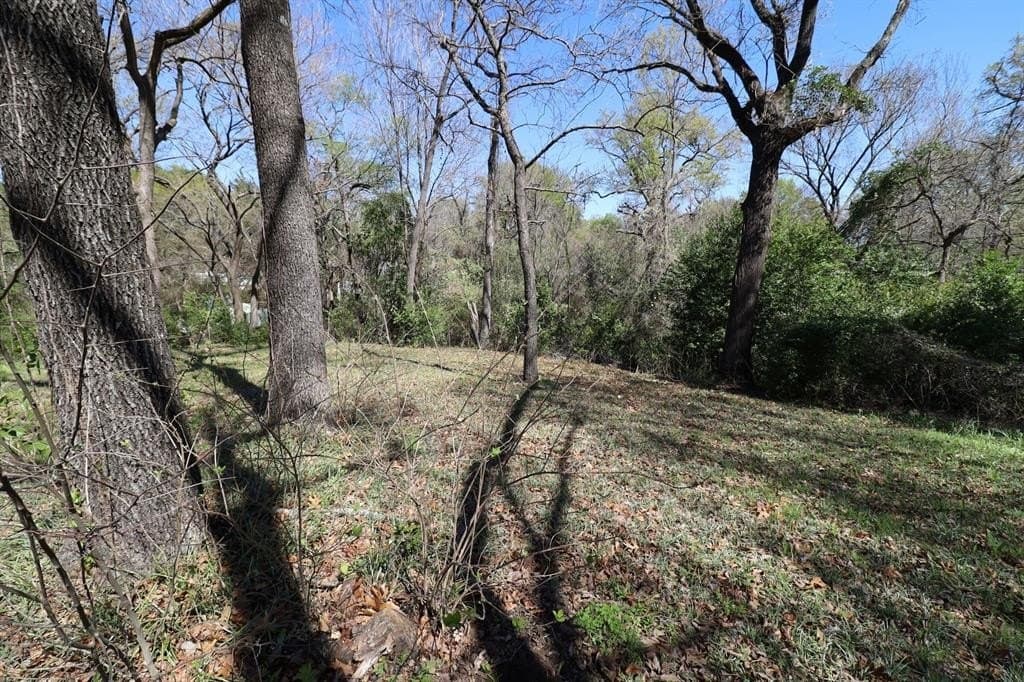 0.16 acres in Henderson County - photo 10