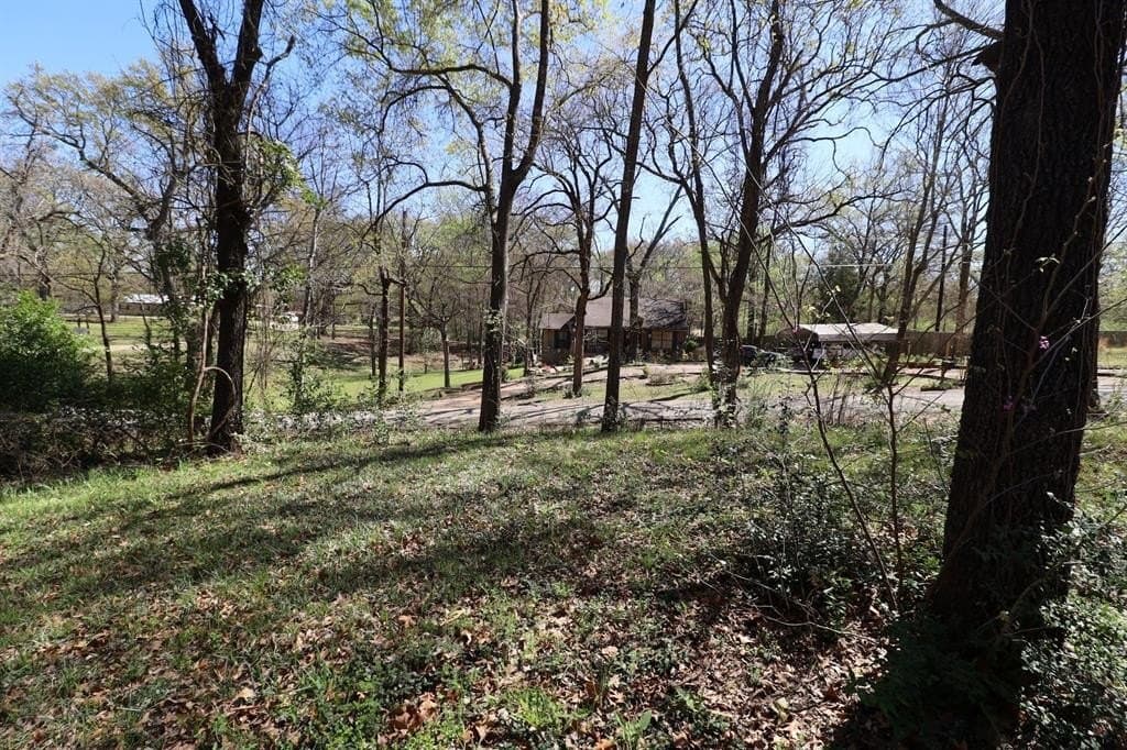0.16 acres in Henderson County - photo 11