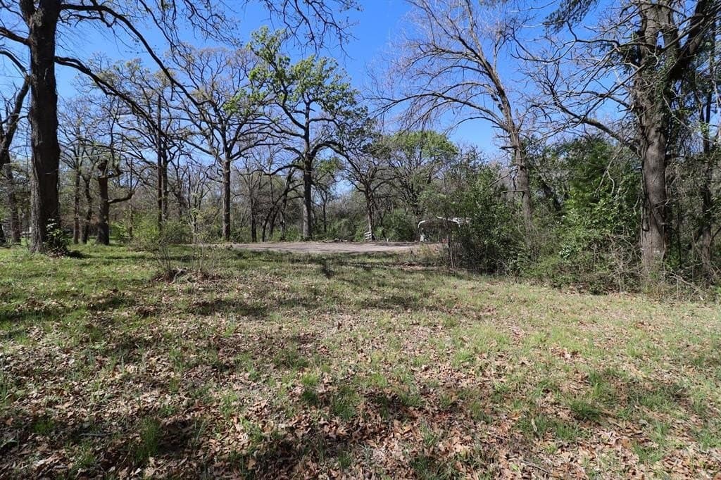 0.16 acres in Henderson County - photo 13