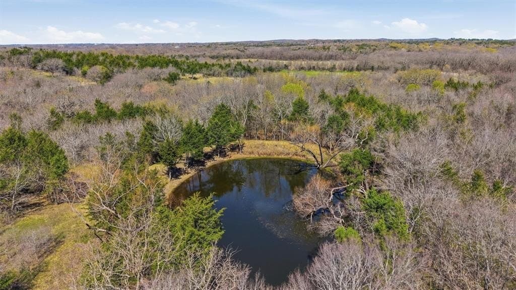 68.25 acres in Grayson County - photo 21