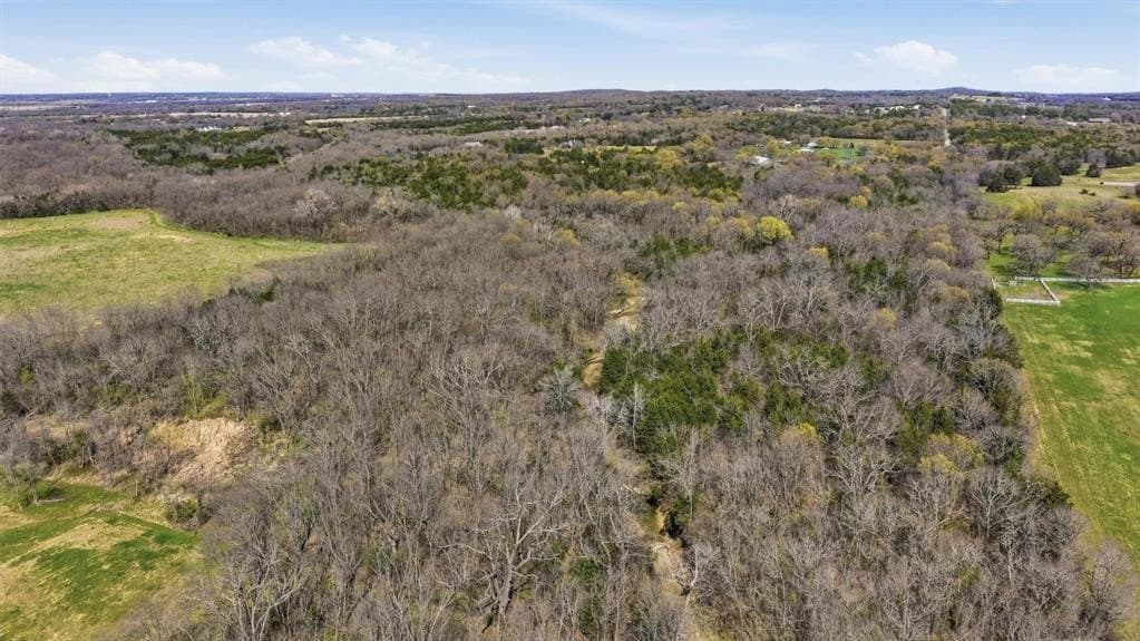 68.25 acres in Grayson County - photo 16