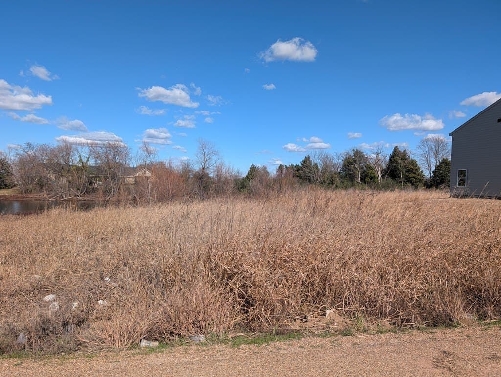 0.82 acres in Henderson County - photo 4