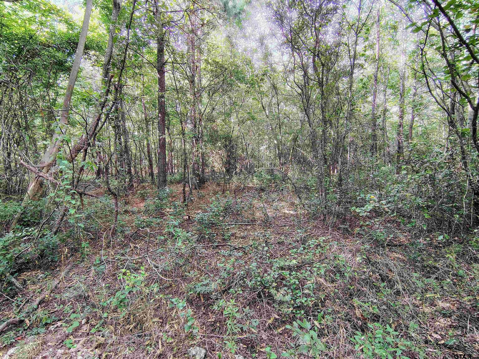 10.62 acres in Wood County - photo 27