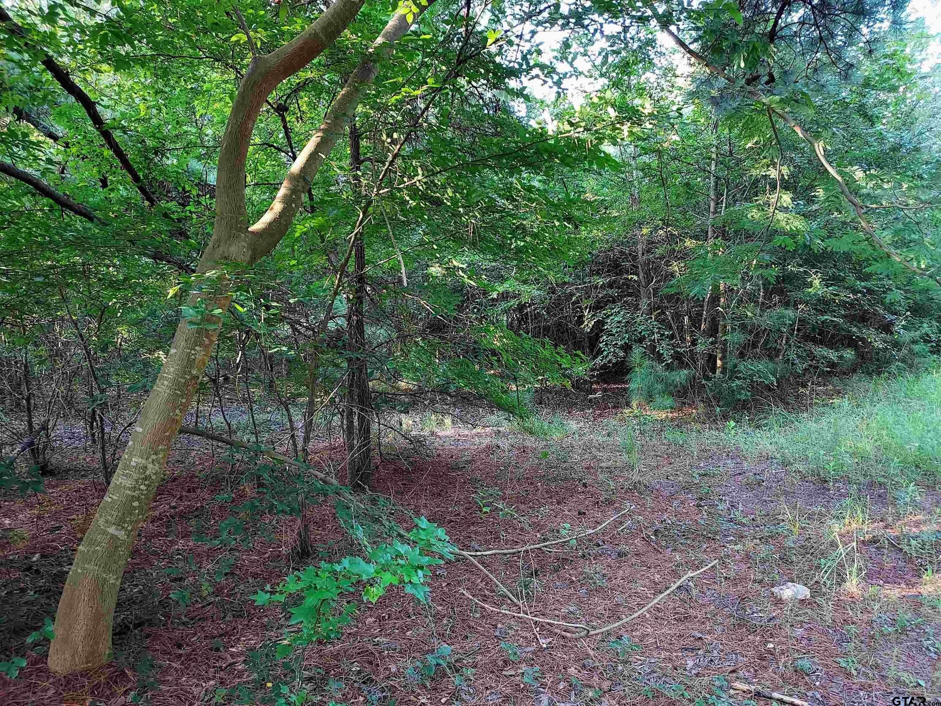 10.62 acres in Wood County - photo 9