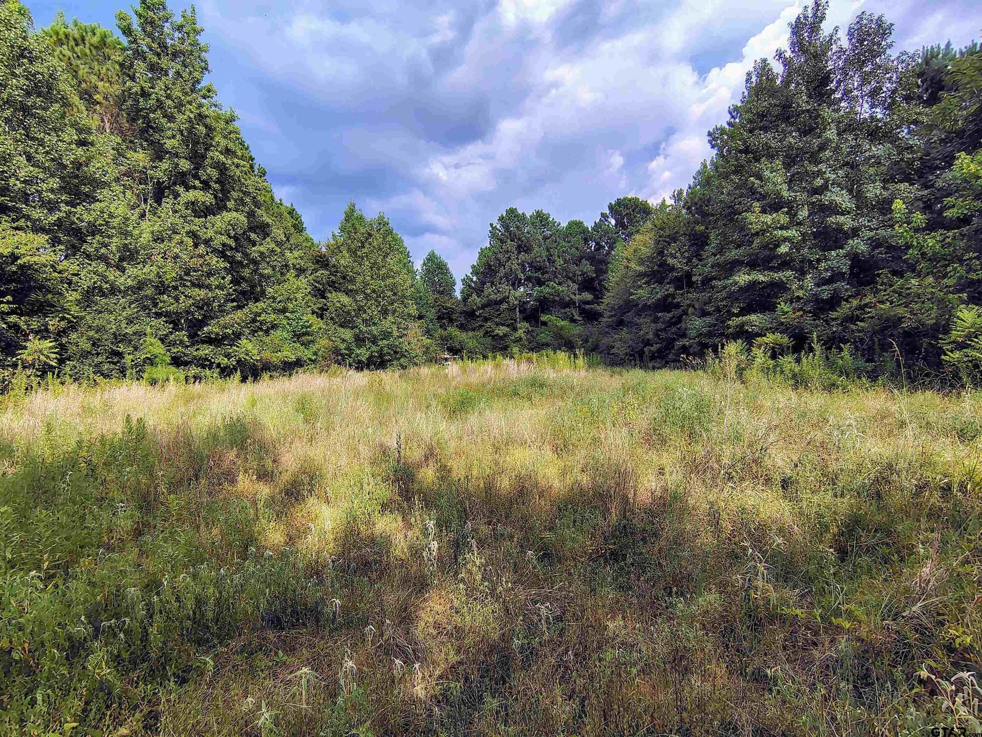 10.62 acres in Wood County - photo 29