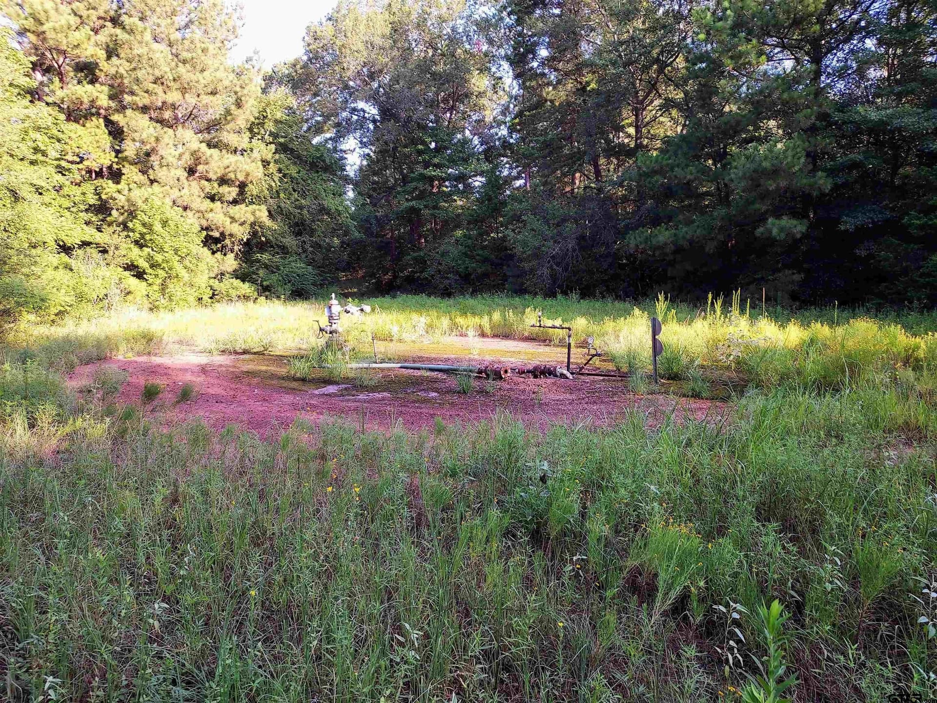 10.62 acres in Wood County - photo 16