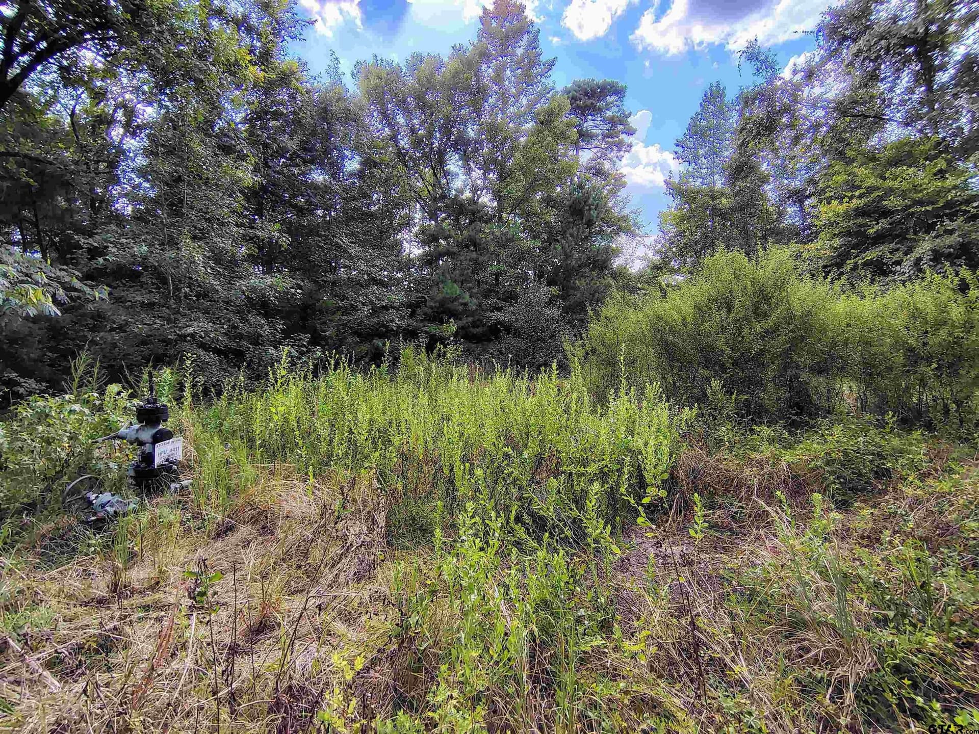 10.62 acres in Wood County - photo 30