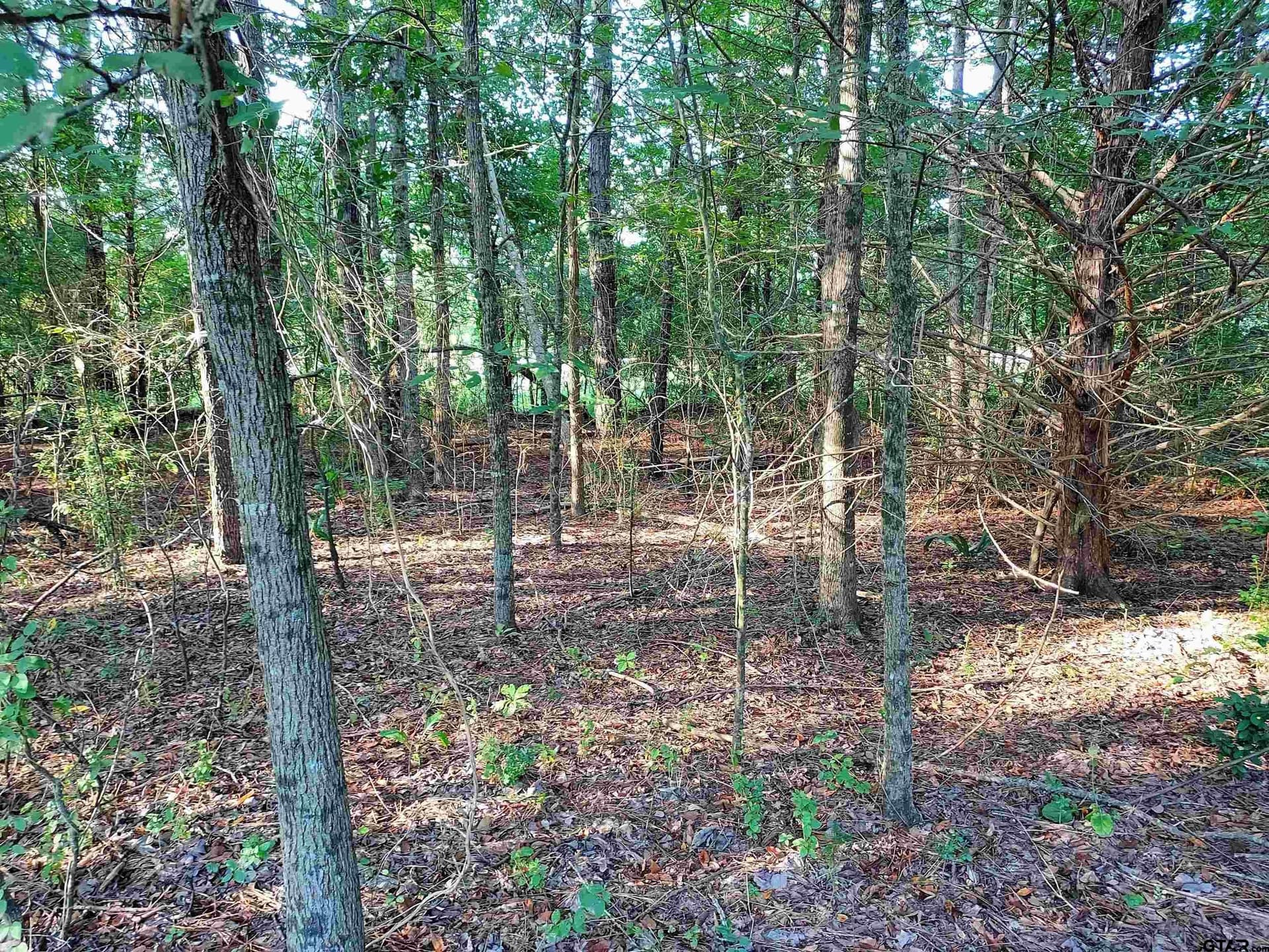 10.62 acres in Wood County - photo 17