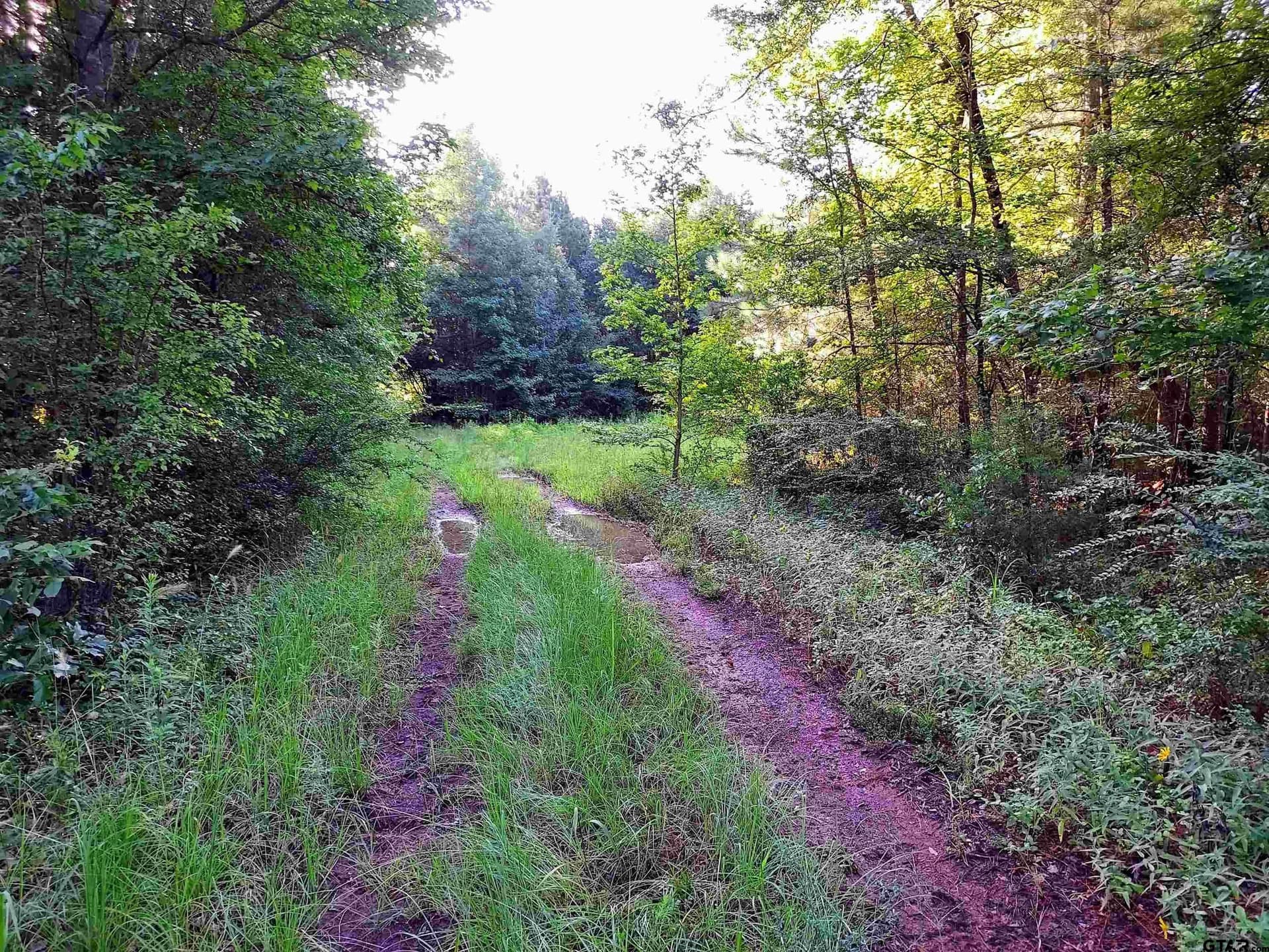 10.62 acres in Wood County - photo 7