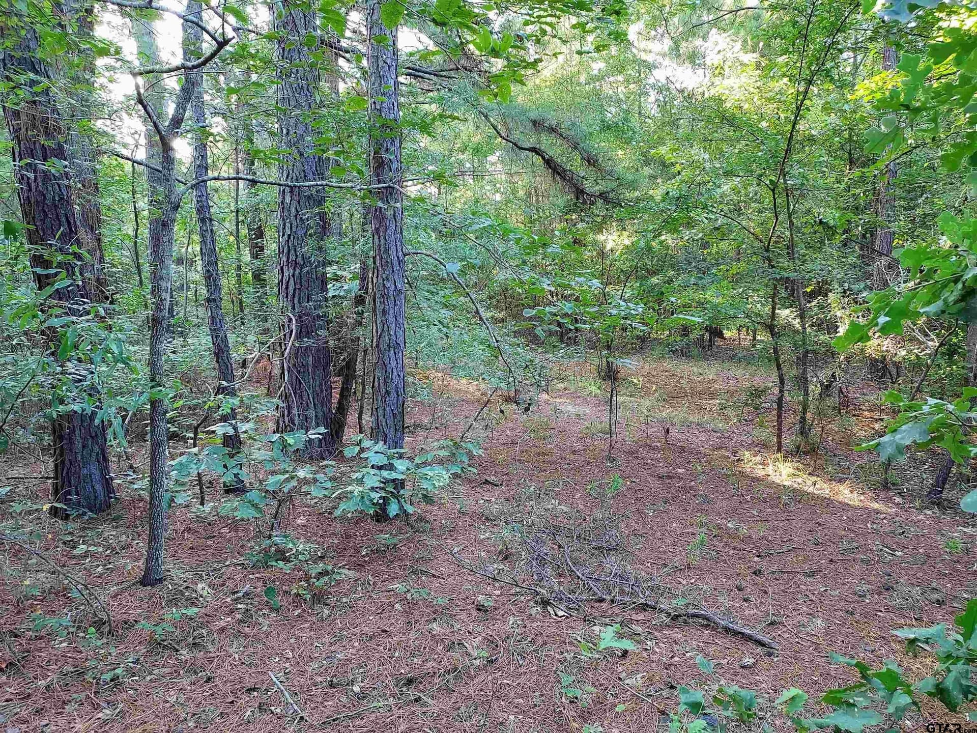 10.62 acres in Wood County - photo 10