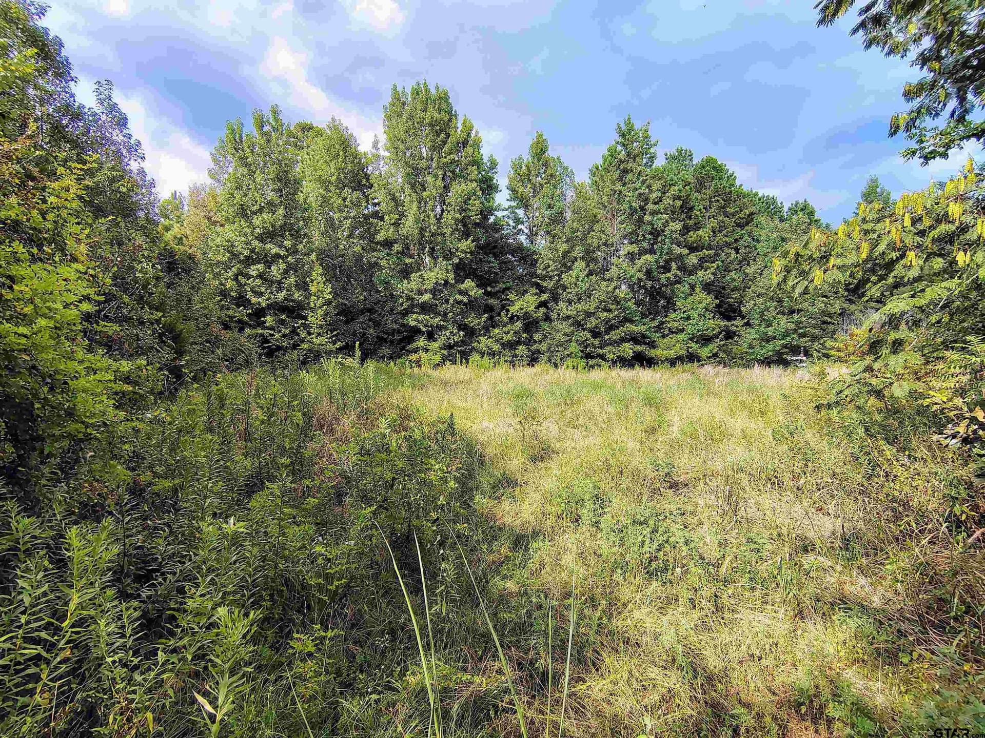 10.62 acres in Wood County - photo 28