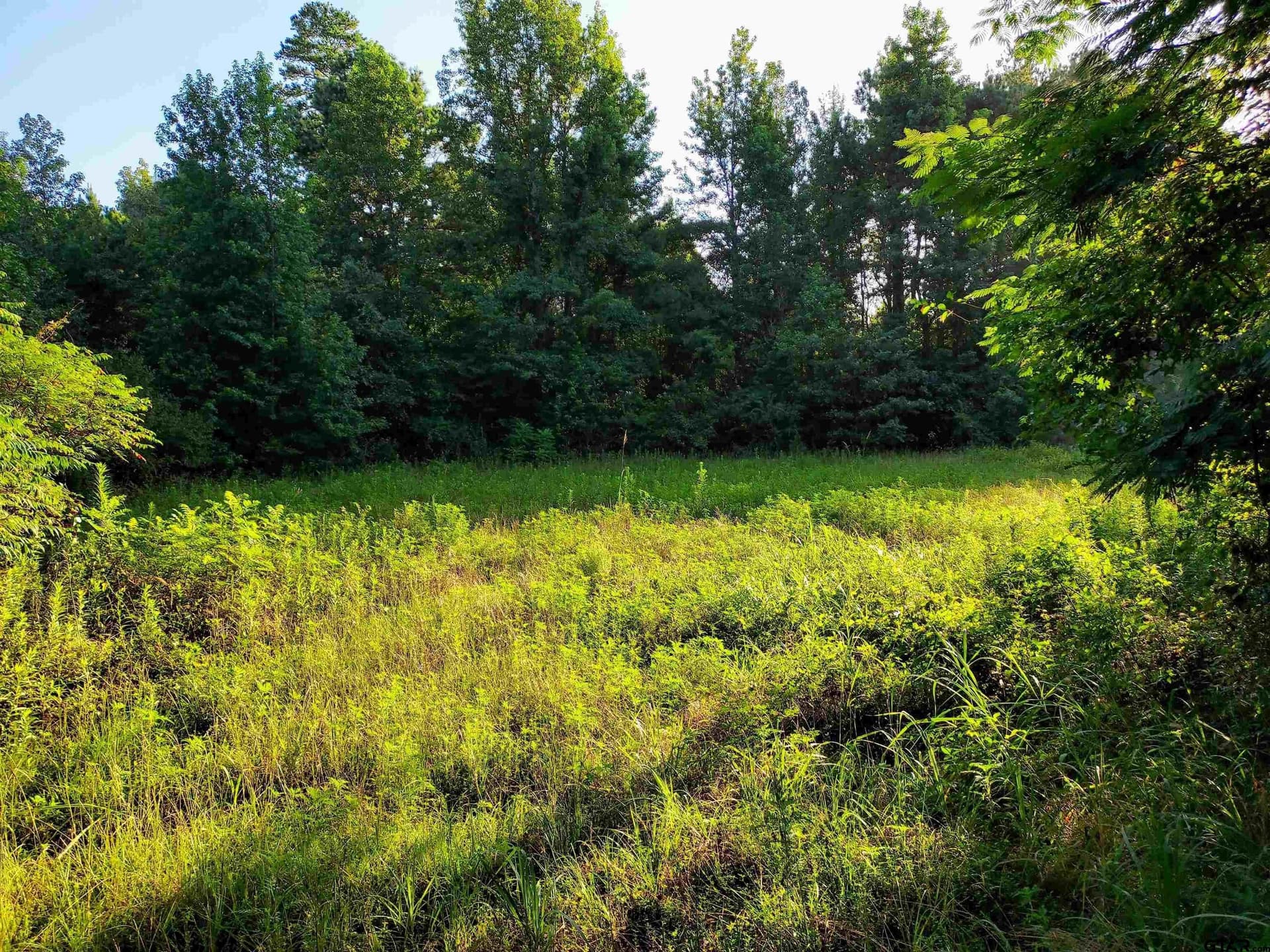 10.62 acres in Wood County - photo 13