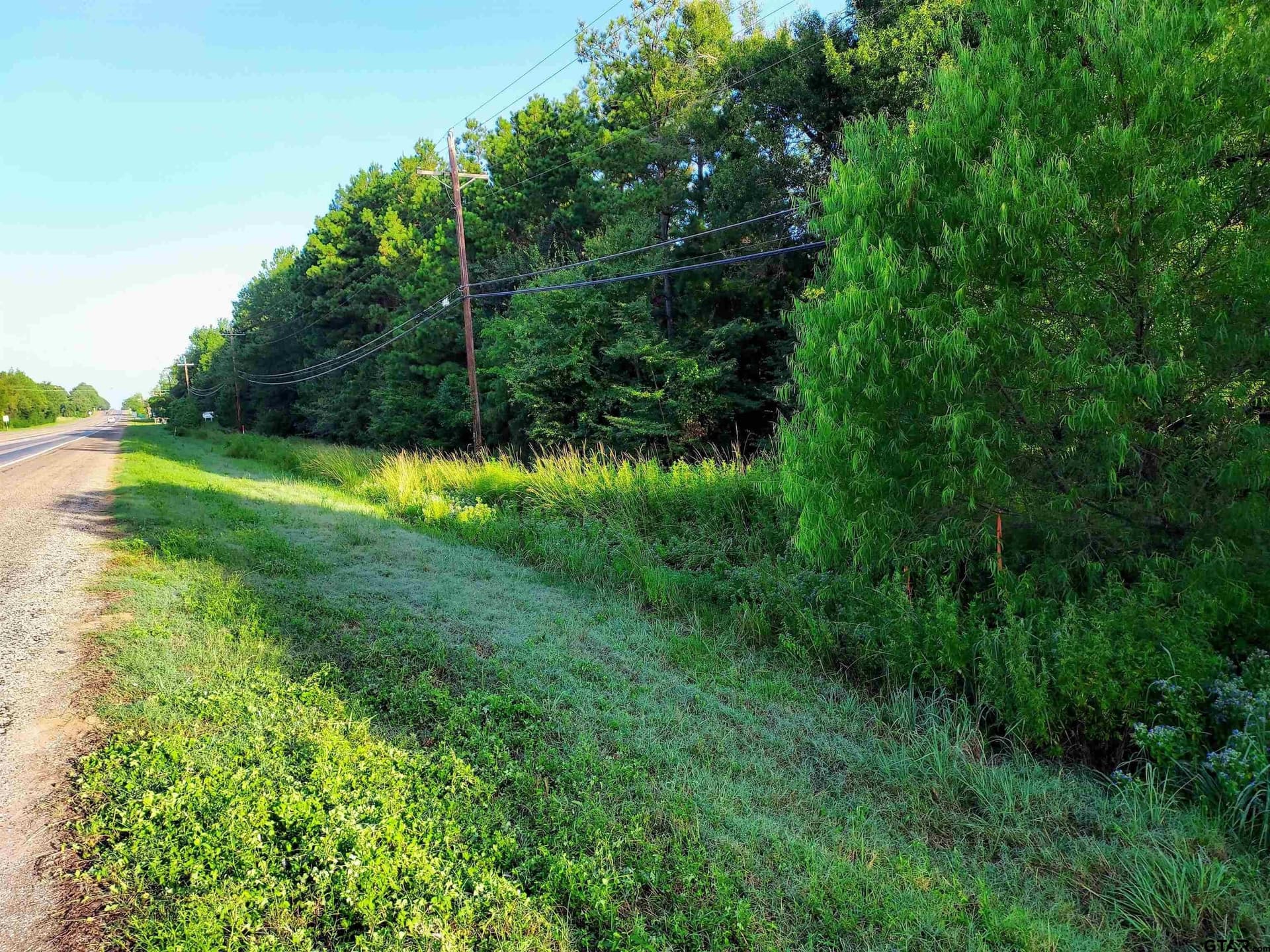 10.62 acres in Wood County - photo 2