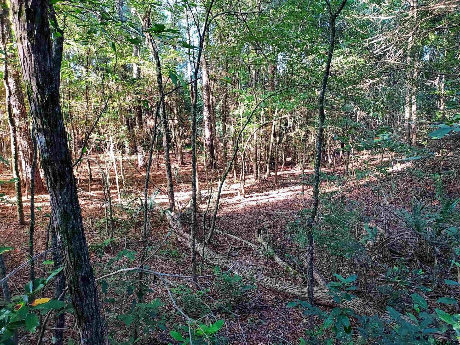 10.62 acres in Wood County - photo 15