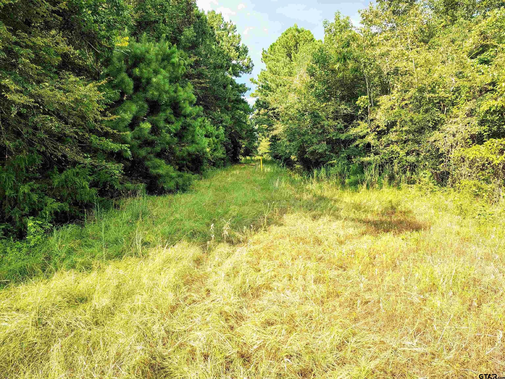 10.62 acres in Wood County - photo 24