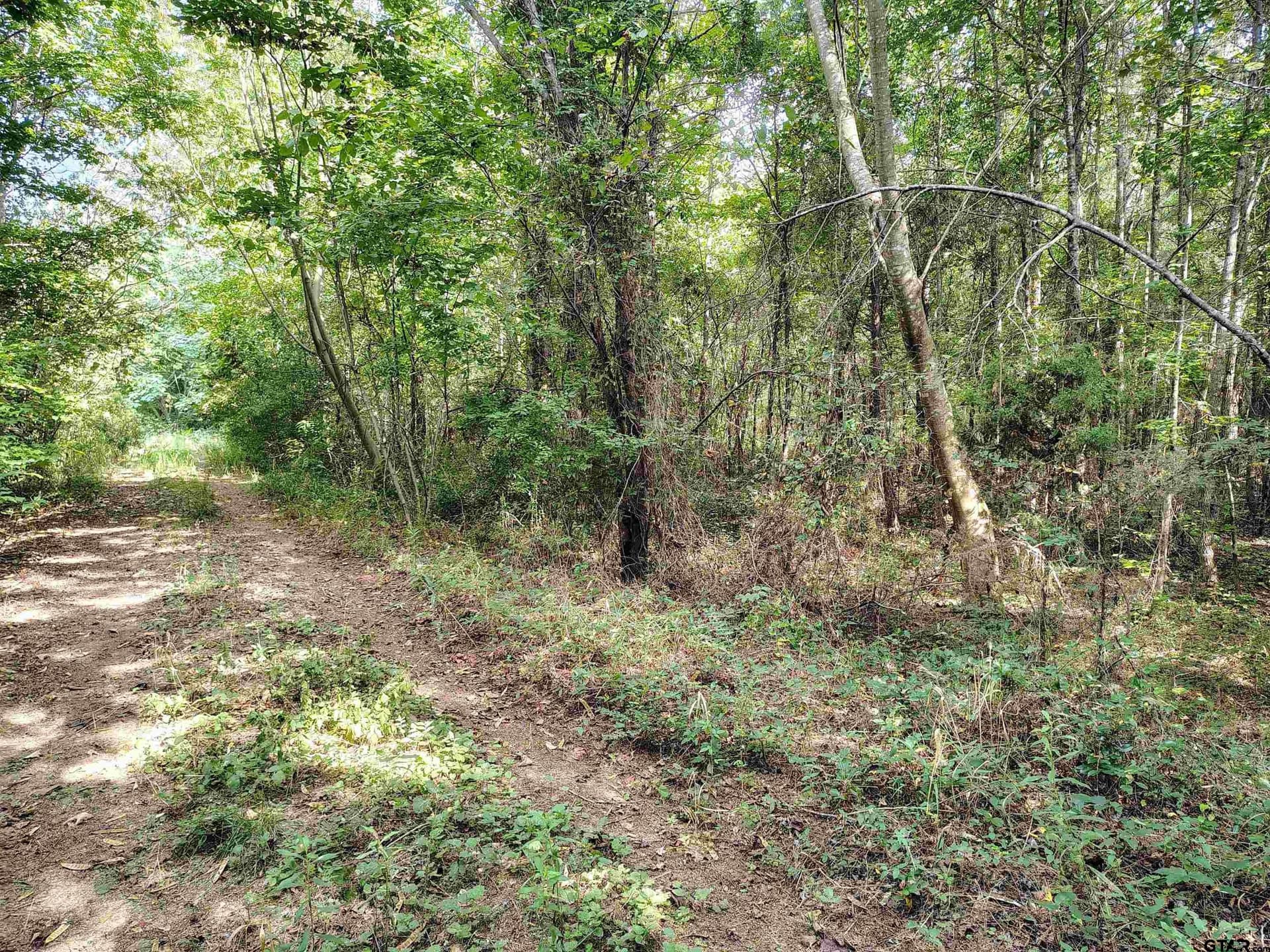 10.62 acres in Wood County - photo 26