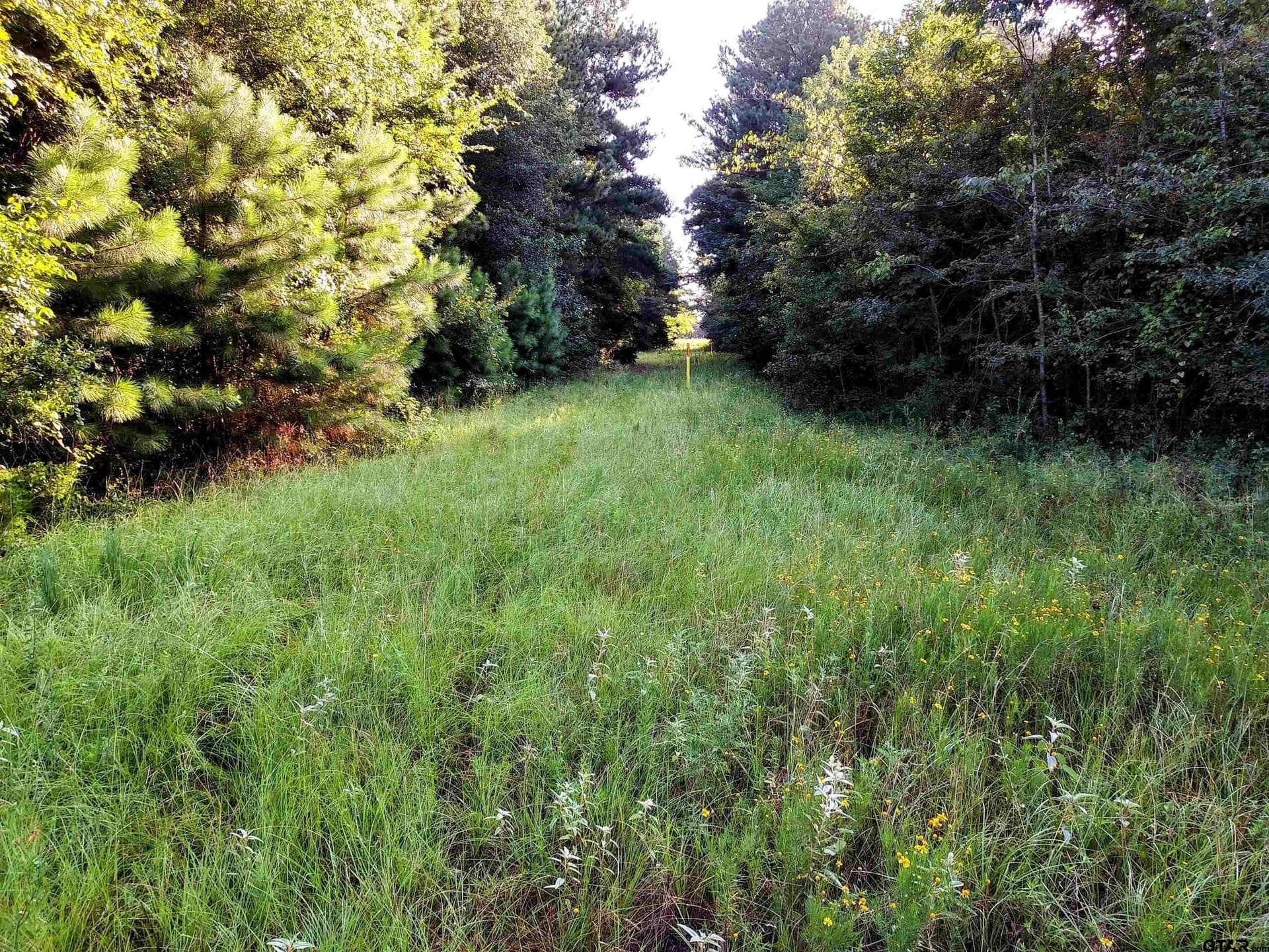 10.62 acres in Wood County - photo 11
