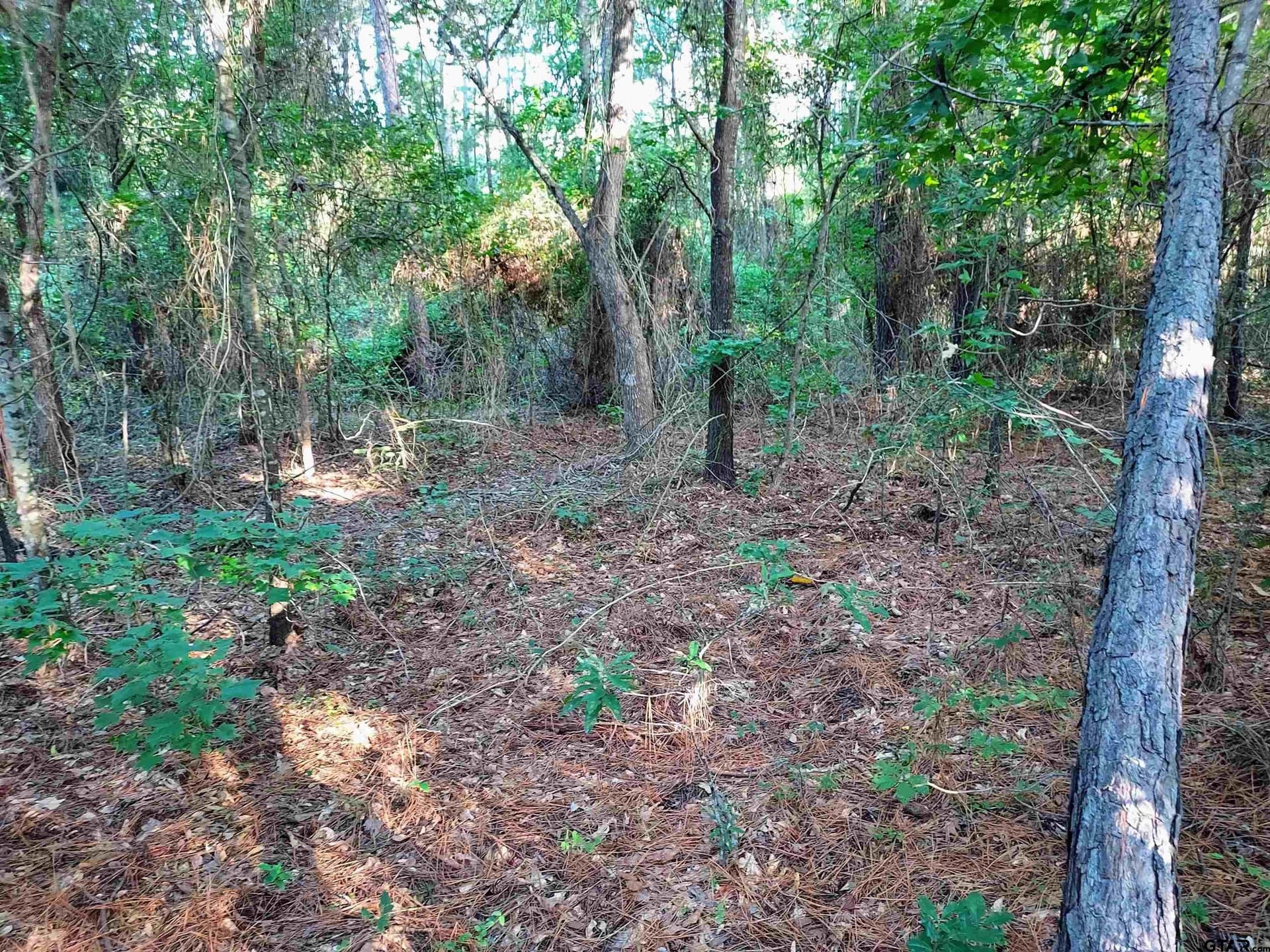 10.62 acres in Wood County - photo 12