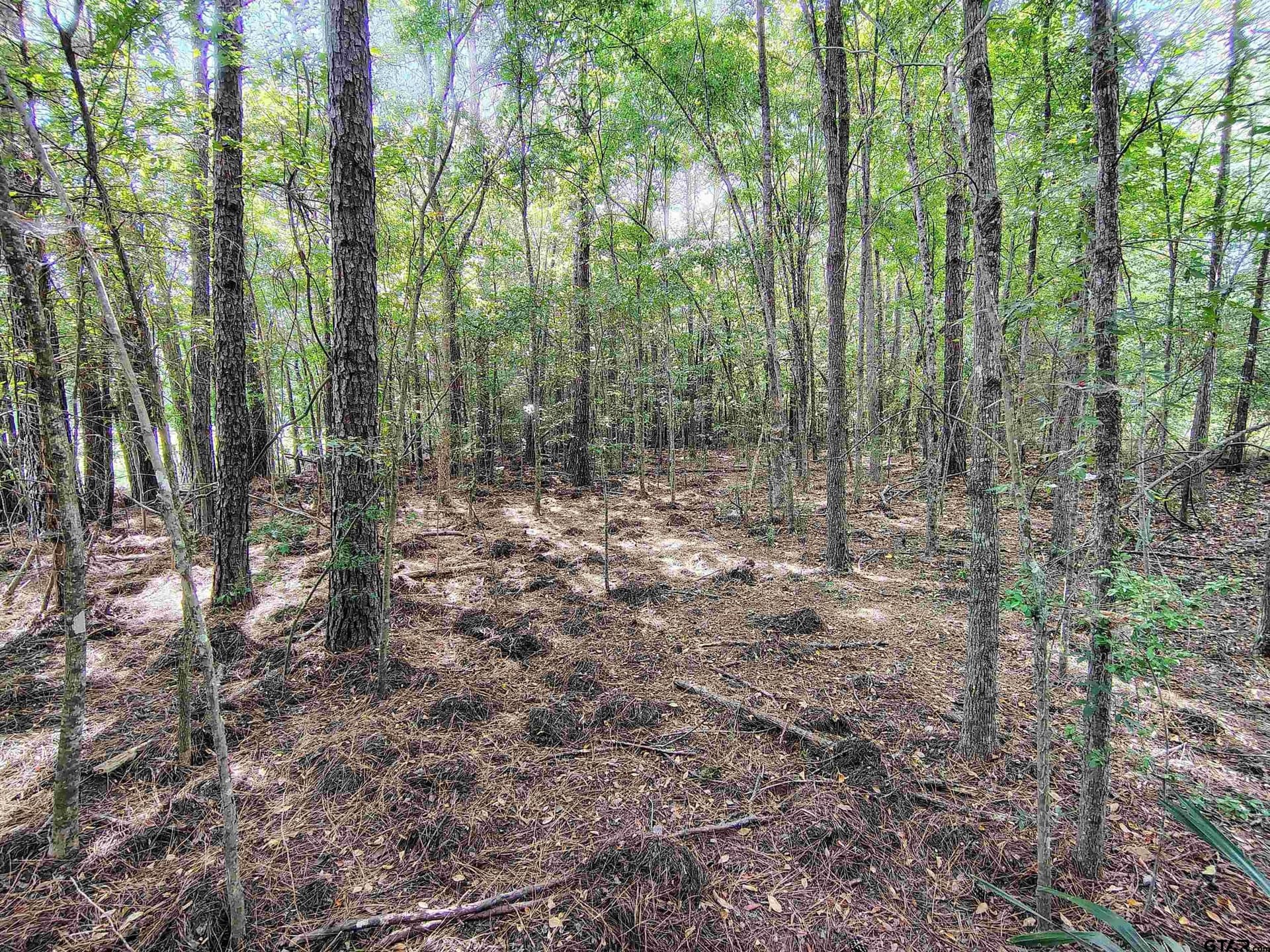 10.62 acres in Wood County - photo 18