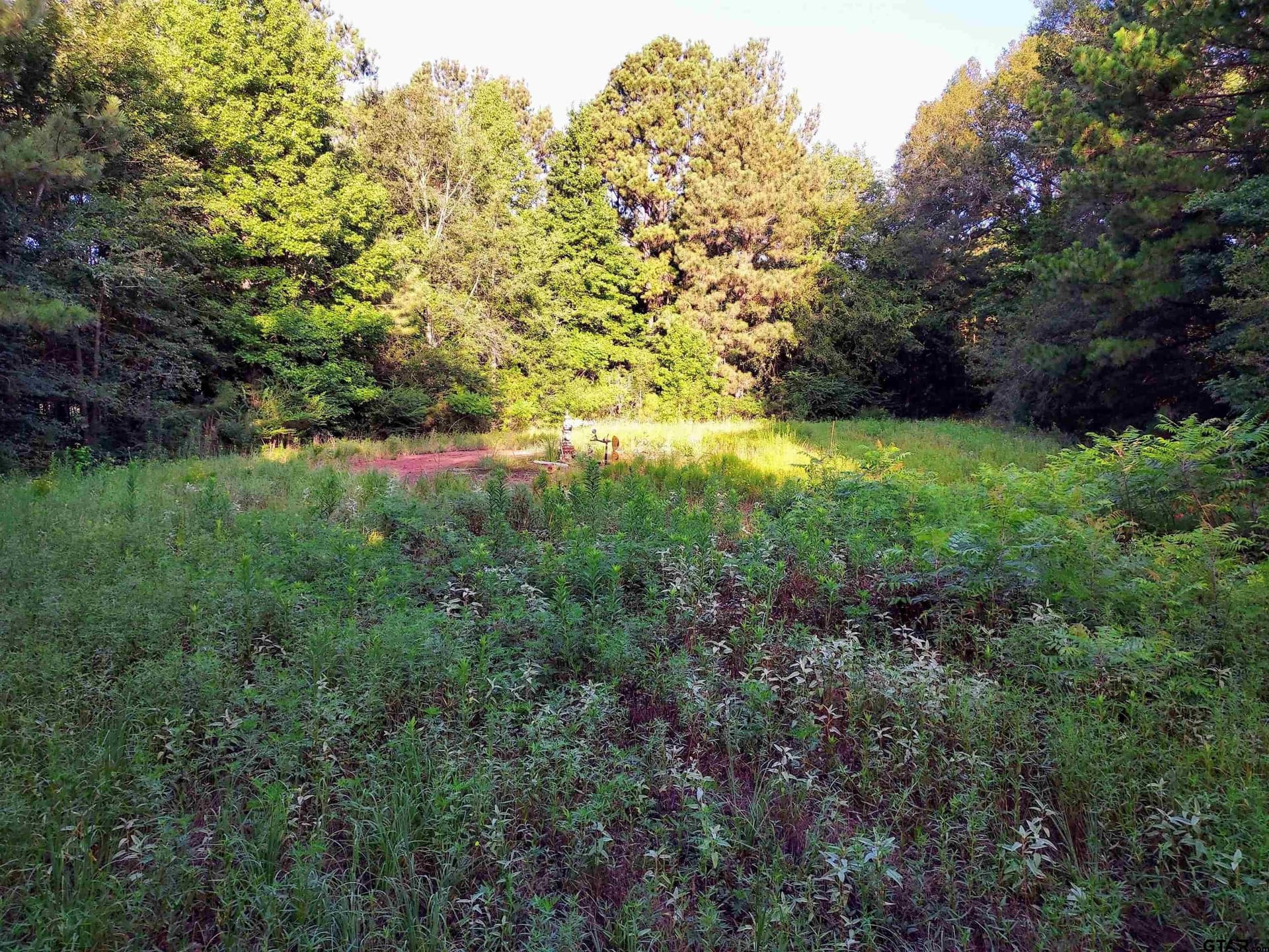 10.62 acres in Wood County - photo 14