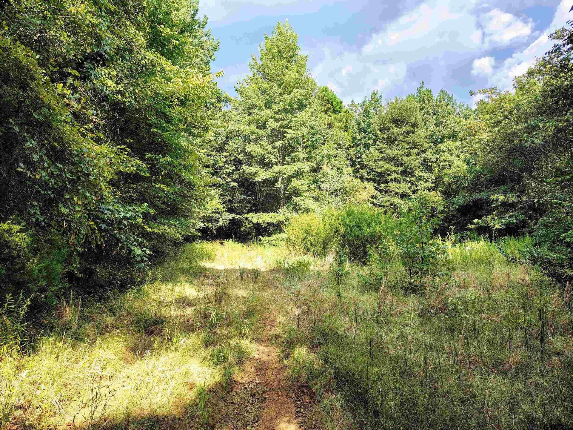10.62 acres in Wood County - photo 25
