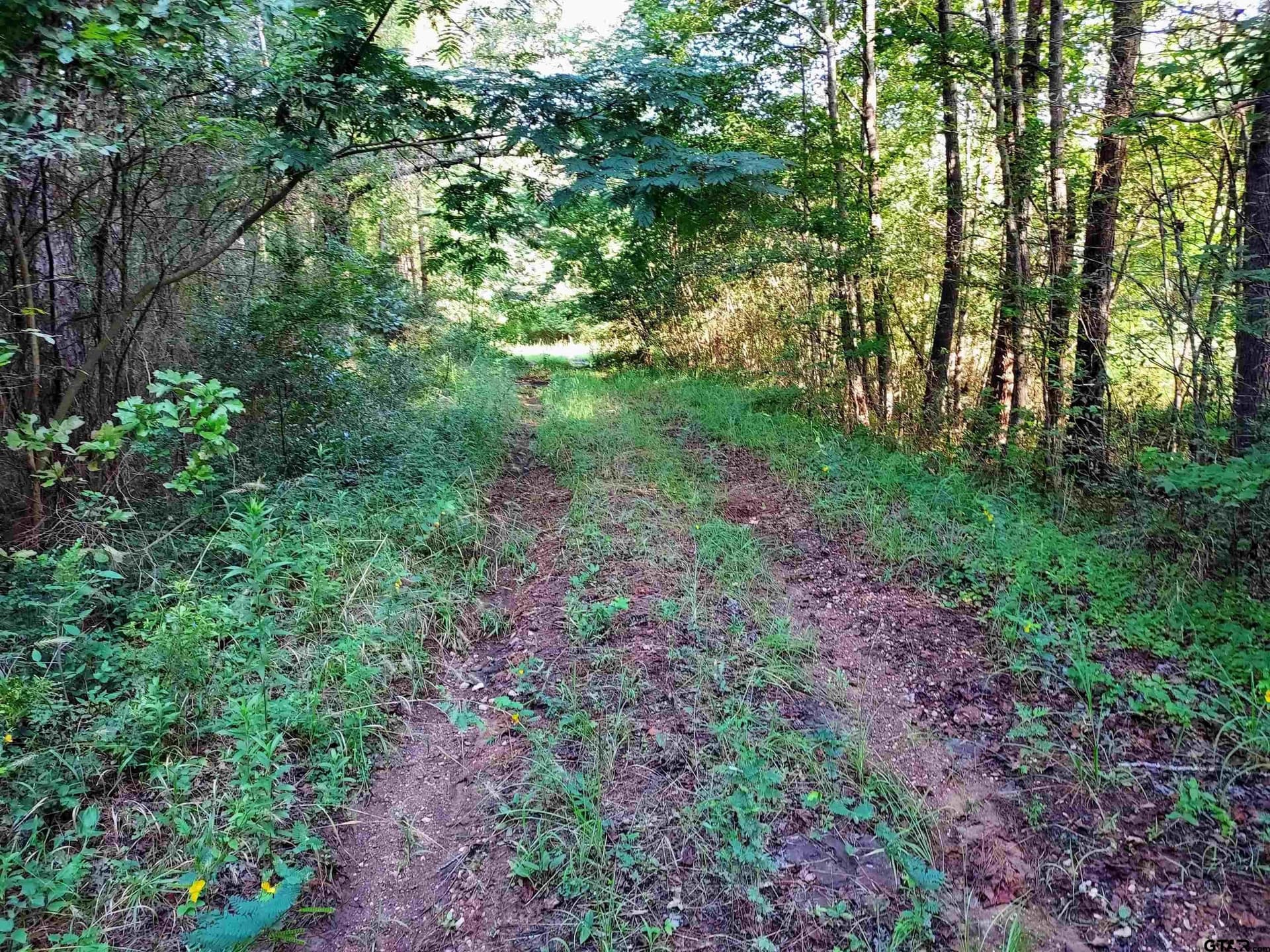 10.62 acres in Wood County - photo 8
