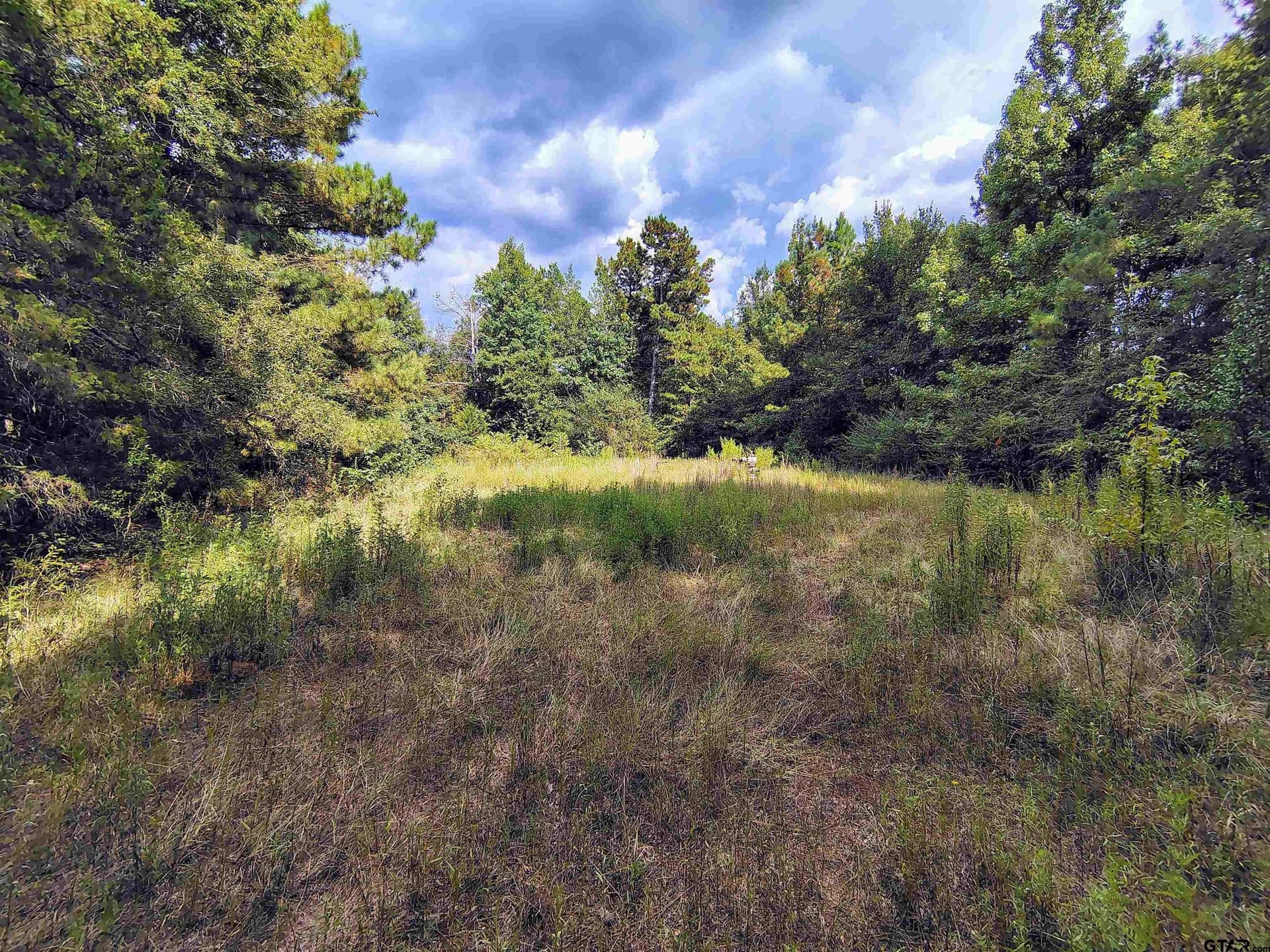 10.62 acres in Wood County - photo 19