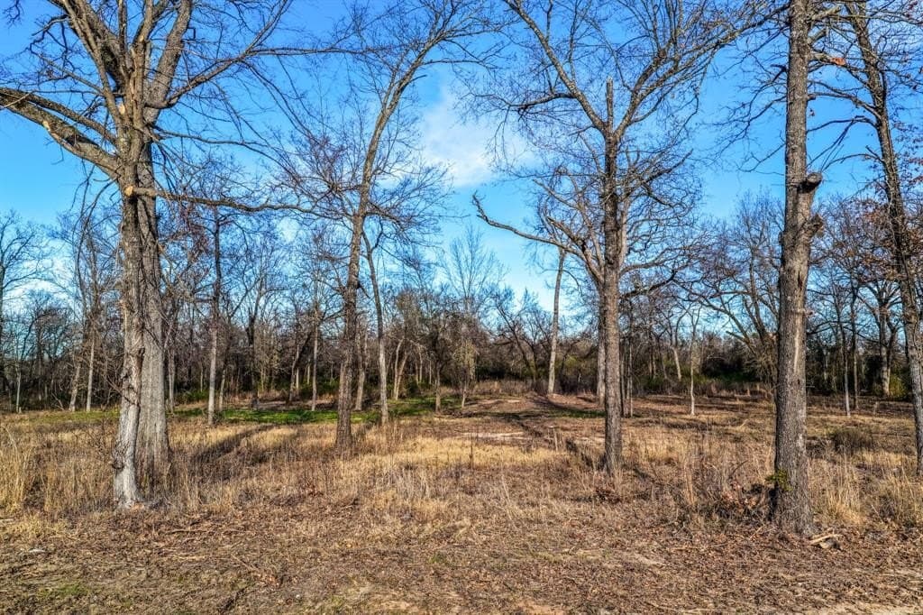 1.21 acres in Hopkins County - photo 8