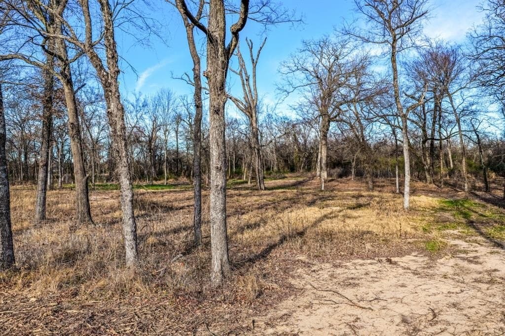 1.21 acres in Hopkins County - photo 9