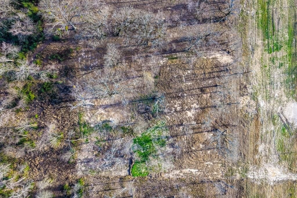 1.21 acres in Hopkins County - photo 6
