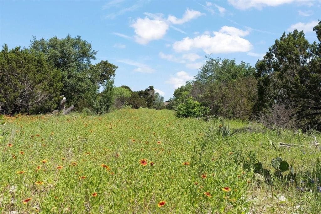 3.67 acres in Johnson County - photo 10