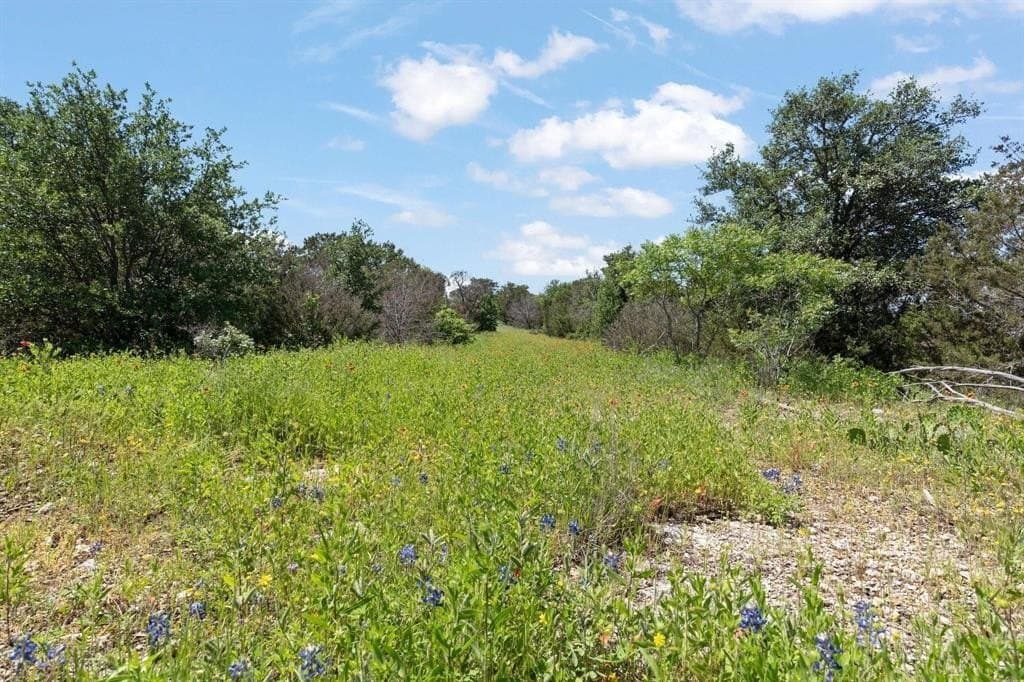 3.67 acres in Johnson County - photo 6