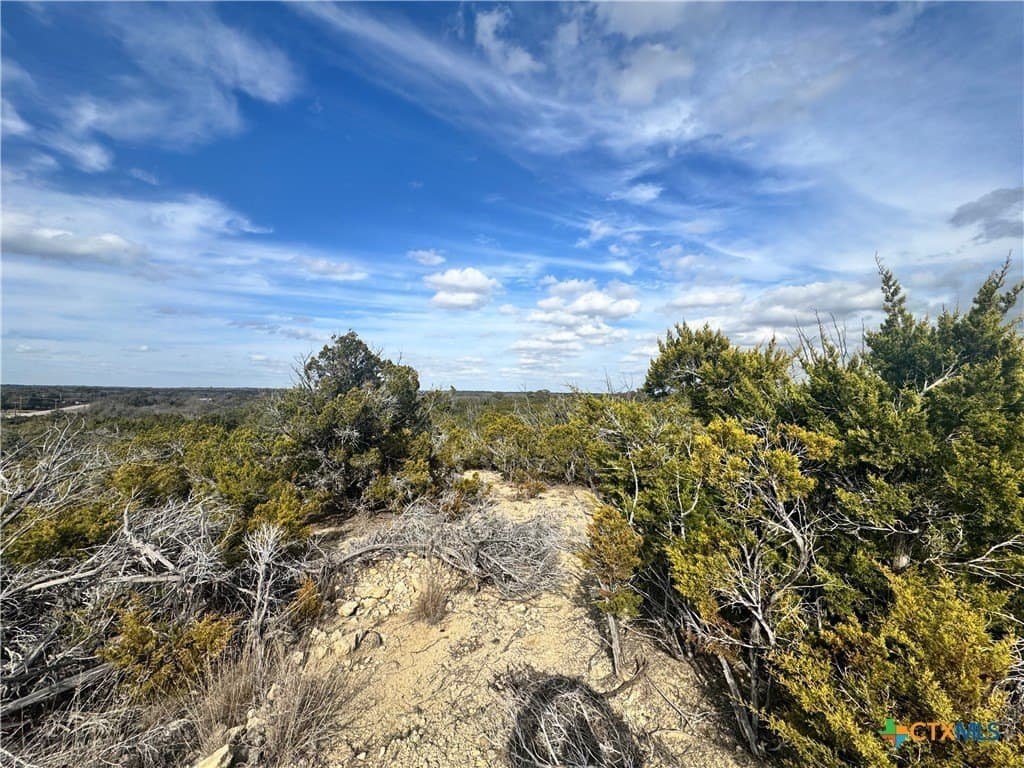 11.35 acres in Bell County - photo 2