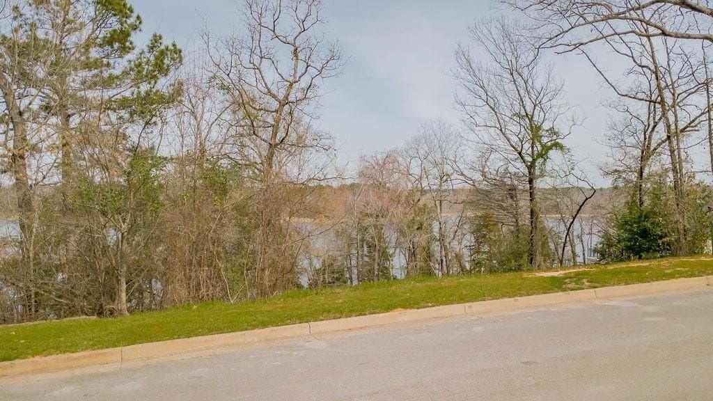 0.91 acres in Smith County - photo 5